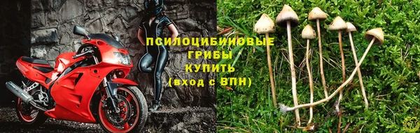 шишки Абдулино